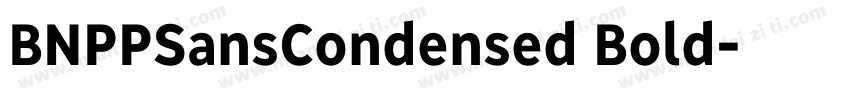 BNPPSansCondensed Bold字体转换
